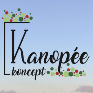 image qui montre une
                                                capture ecran accueil du site
                                                kanopeekoncept