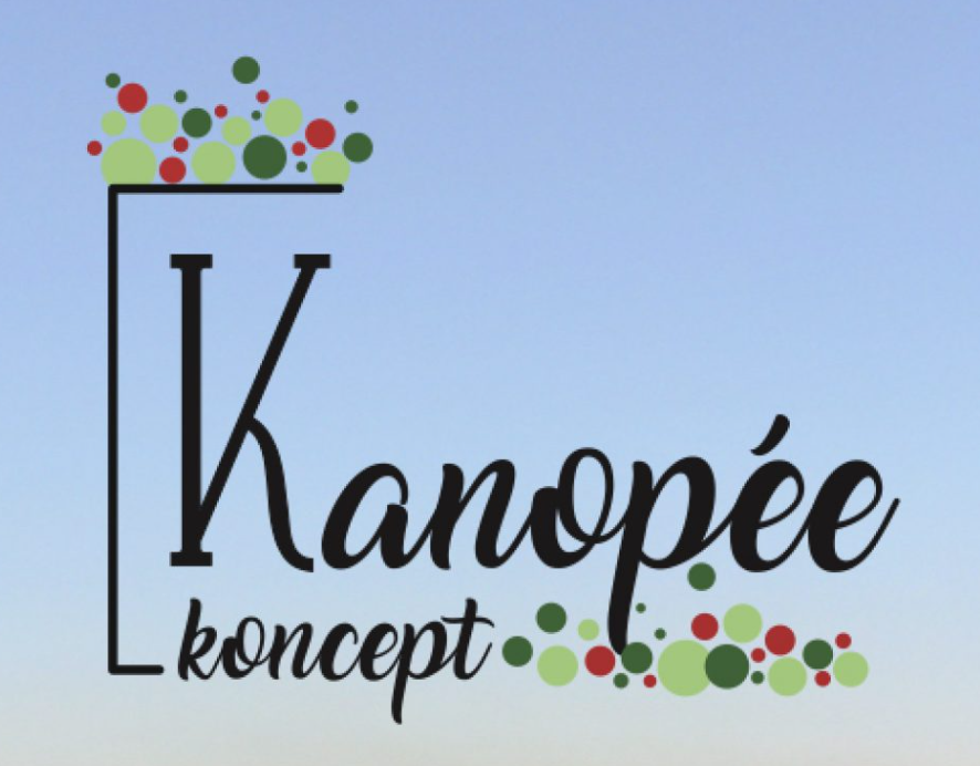 Aperçu site Kanopée Koncept, producteur bio Gironde